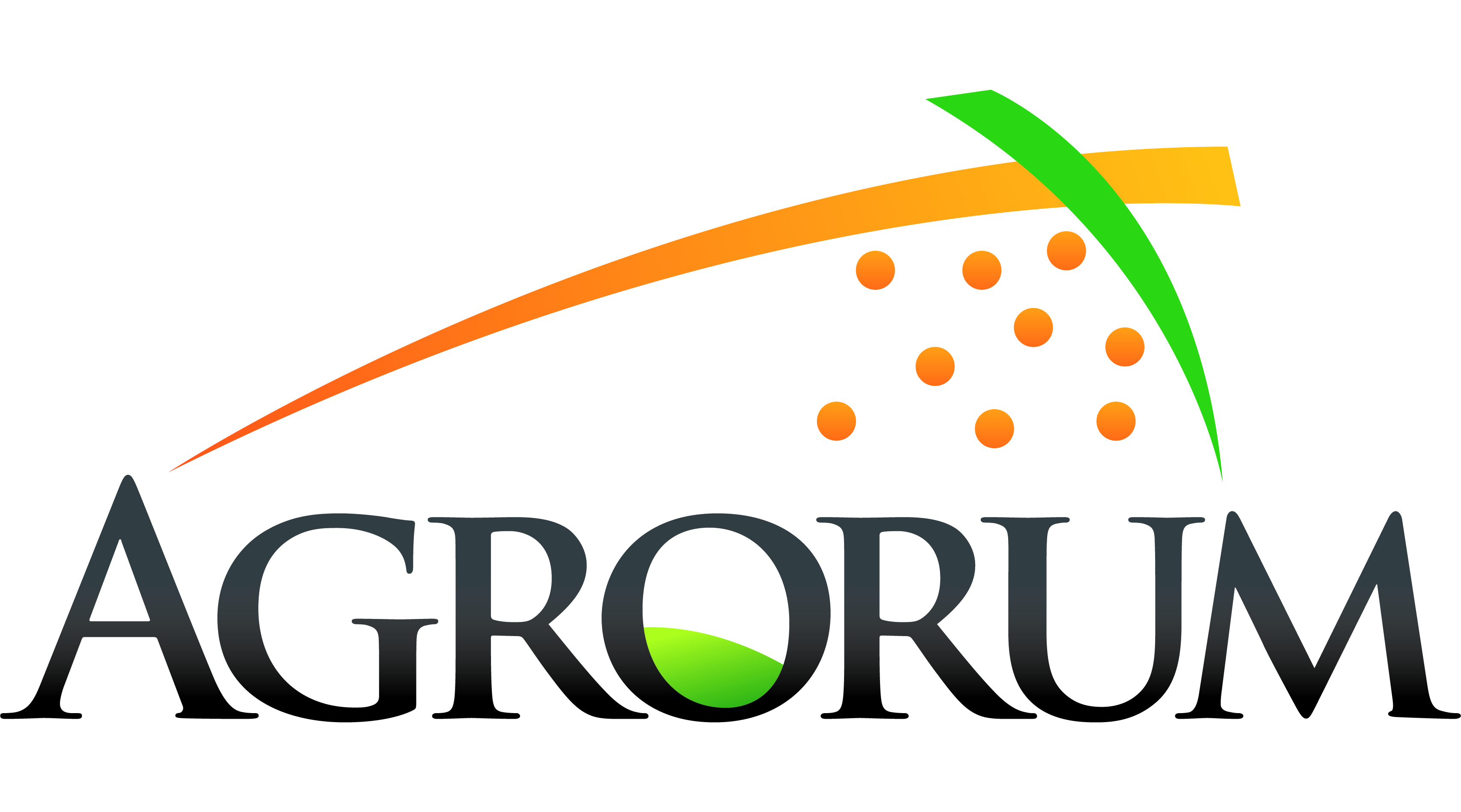 garantia capital